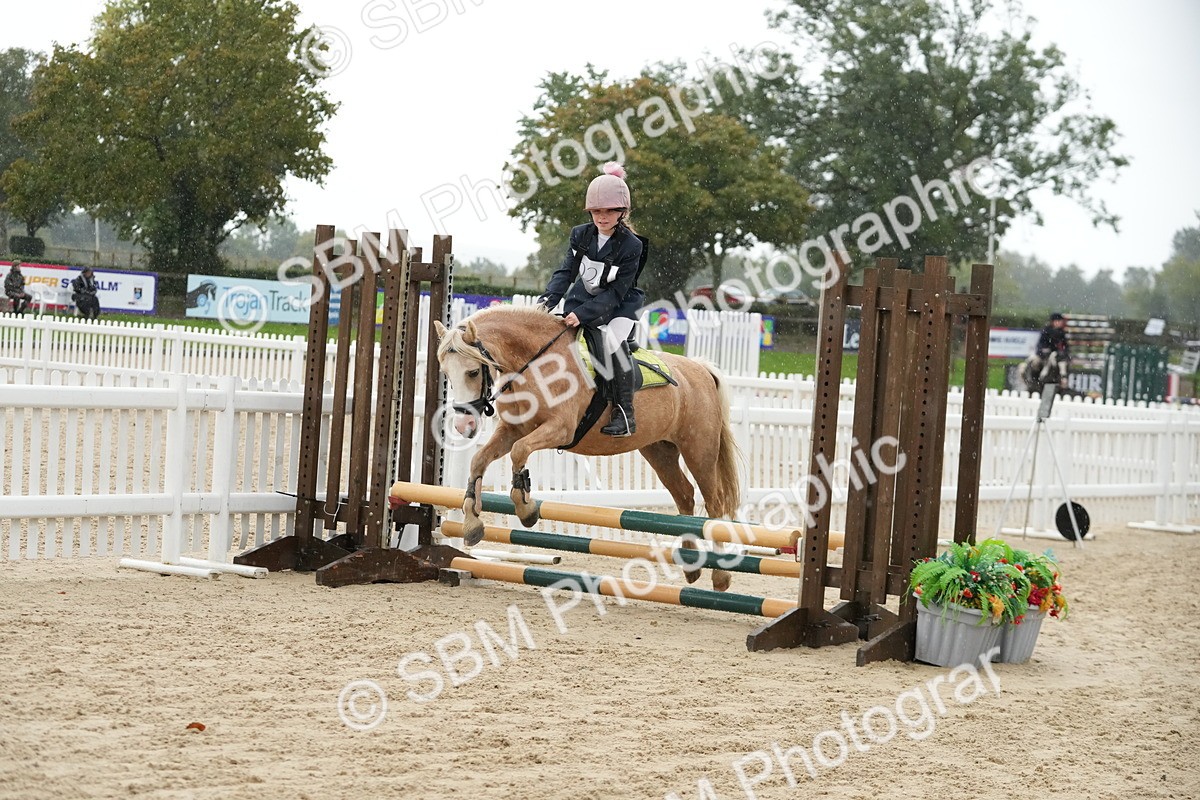 SBM_33867 - J5 - Junior Pony 50cm Championship
