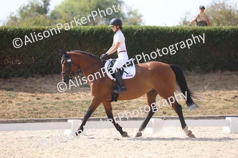 20260815-1072 - Class 6 - Novice 2