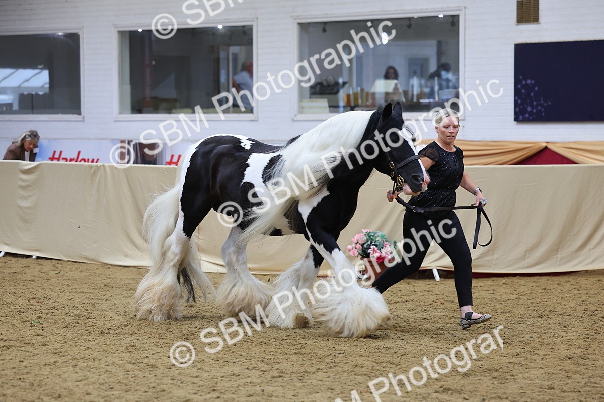 SBM_21107 - Class 902 - Supreme Final IH Veteran