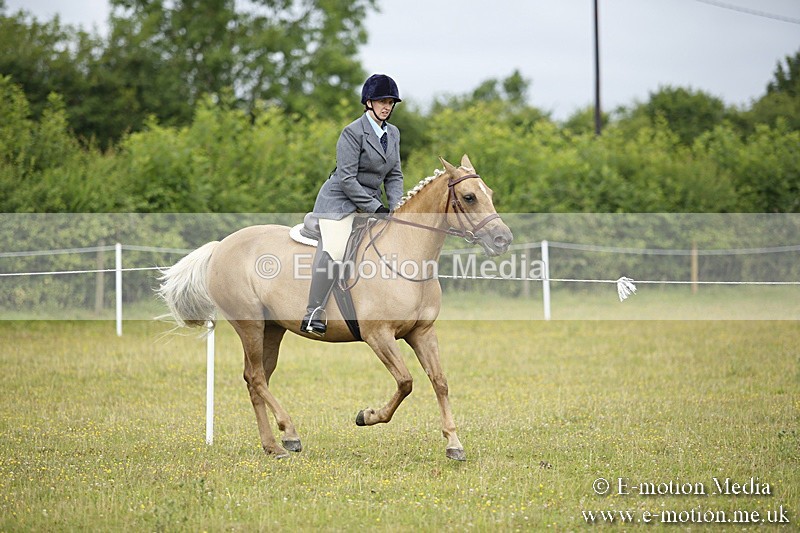 BVR160717-259 - Ring 1 BVRC Show 16/07/17