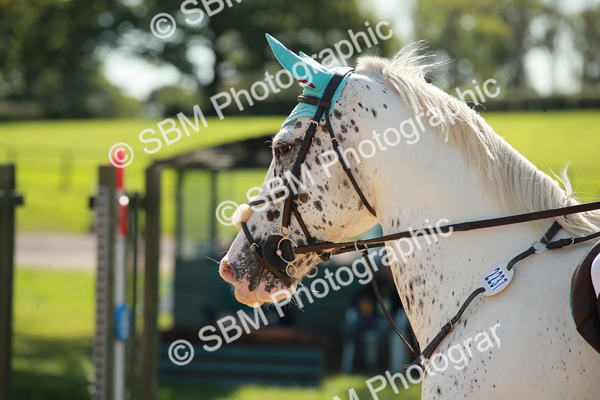 SBM_21936 - E11 - Eventers Challenge 60cm Championship