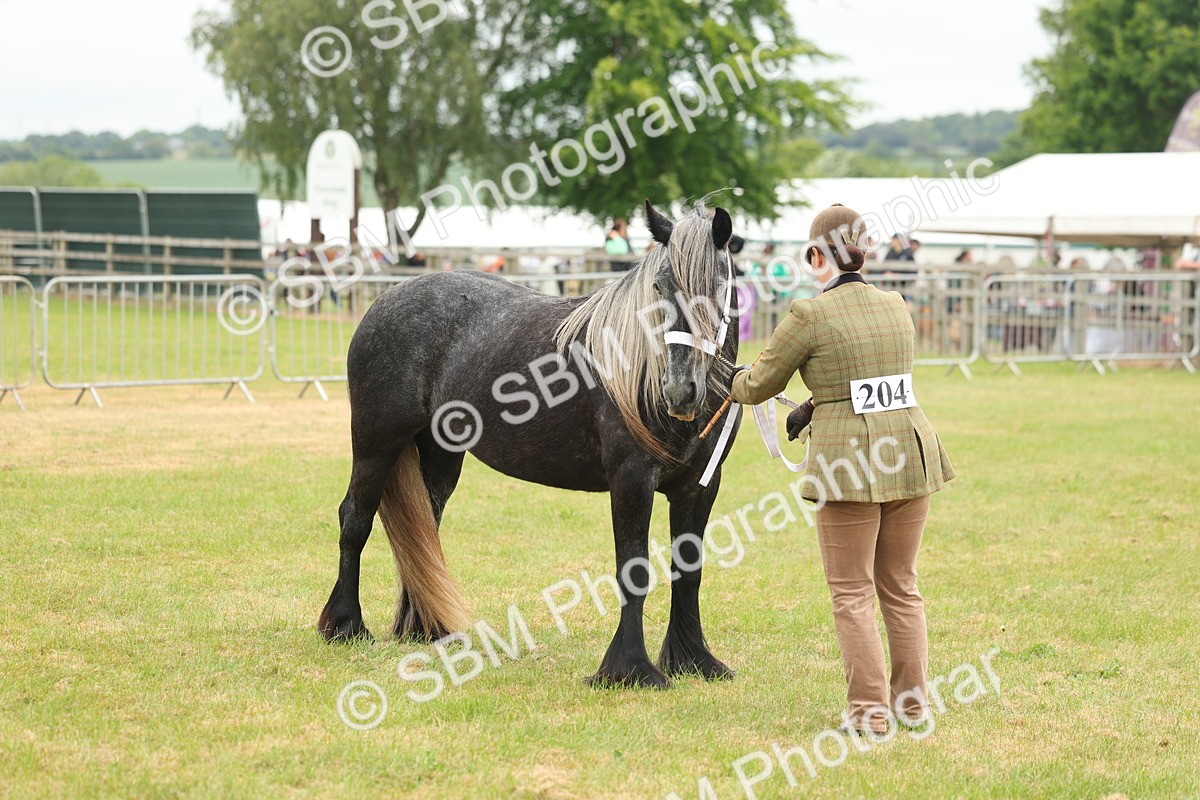 SBM_05088 - Class 50-57 - M&M Welsh Pony In Hand