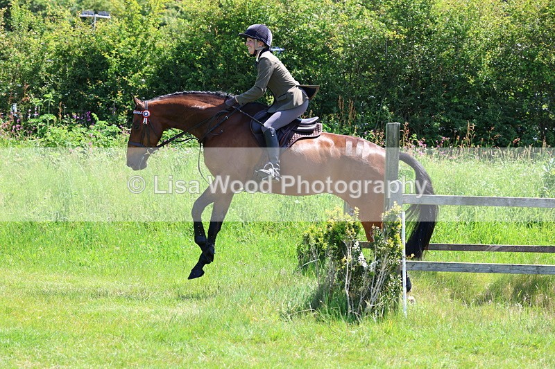 3E7A7463 - Class 31: Working Hunter Cob/Riding Horse