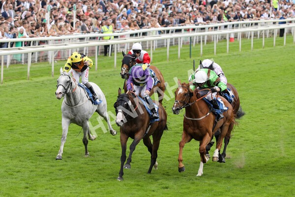 yr24072021r5-48 - Race 5 4.25pm Sky Bet Best Odds Guaranteed Stakes