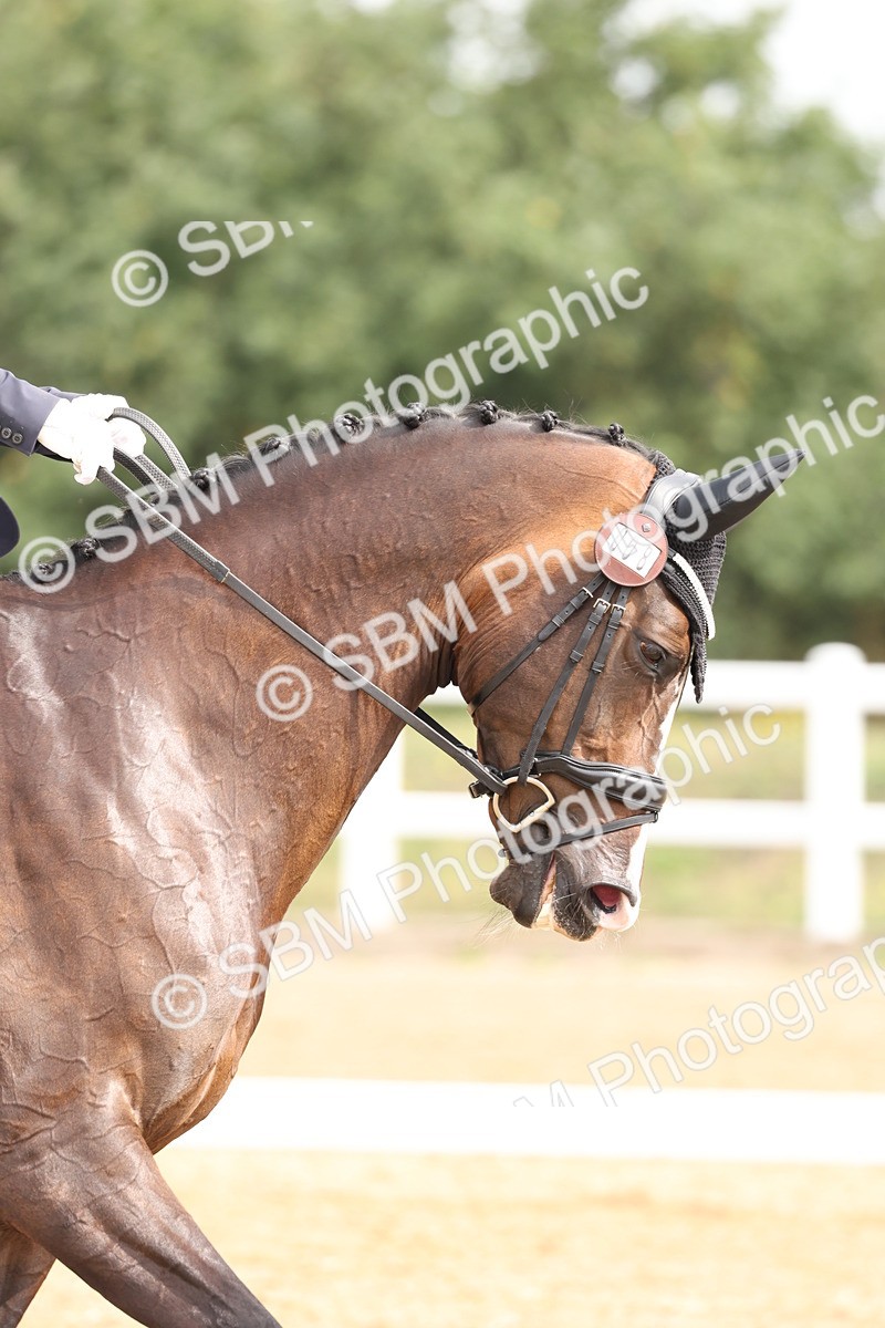 SBM_005500 - Class 6 - Novice 6 - 9.30-10.12