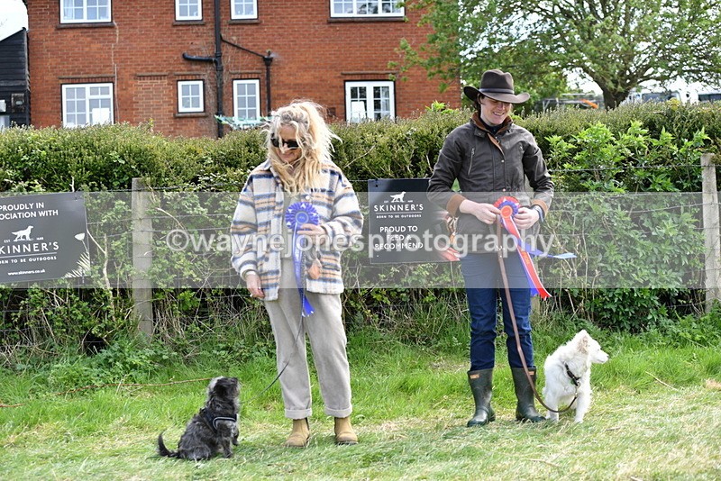 WJ5_0859 - Best in Show Championship