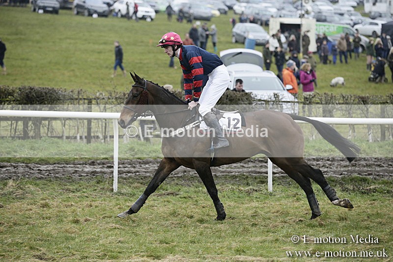 PtP 020418 -90 - Old Berks Point-to-Point Races Easter Monday 02/04/18