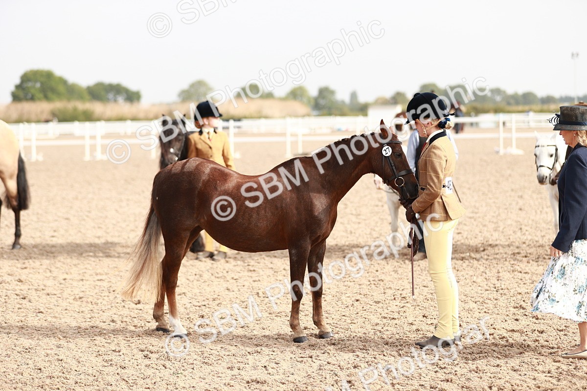SBM_10596 - Class 204 Young Handler, 11-16 years