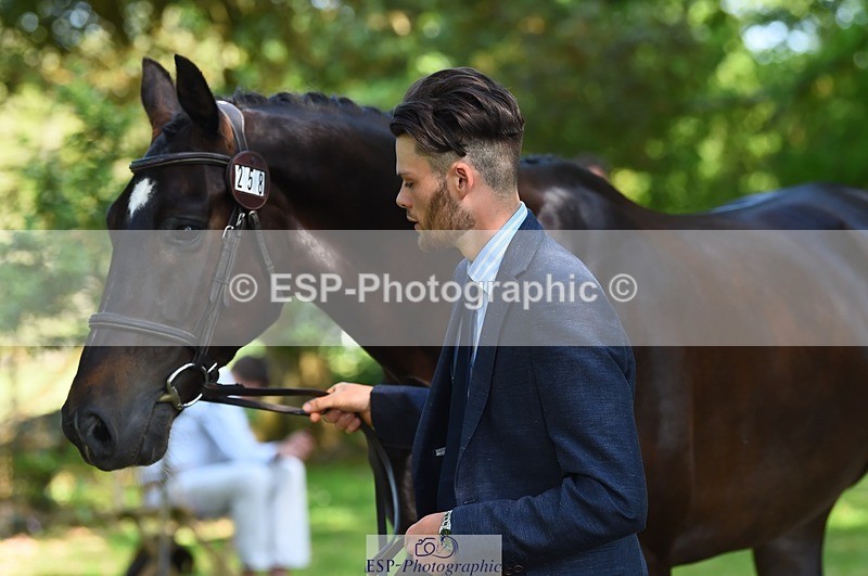 230524-161728-00818 - 258-DHI_KING_NELSON-Barnie_Brotherton-WEDTrotUp+DR