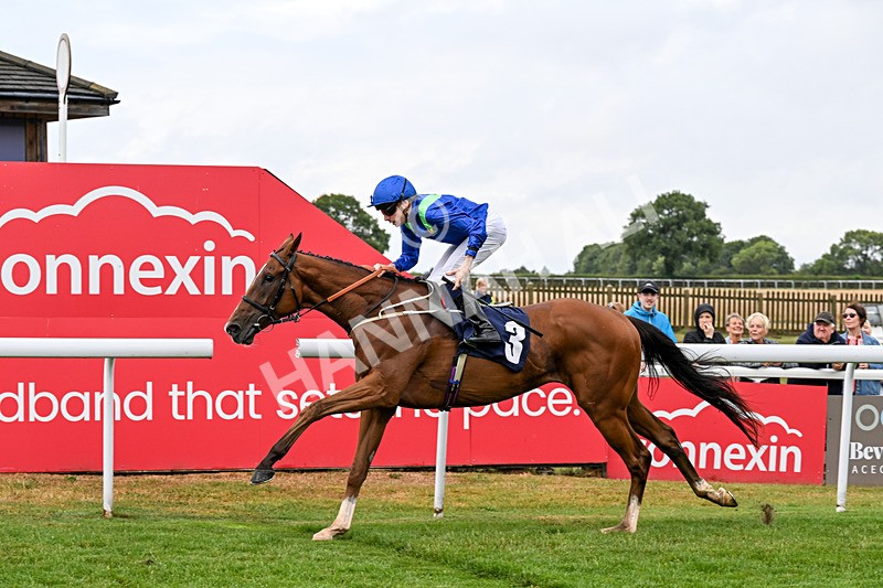 150725-Race 5-Sax Appeal-0793 - Race 5