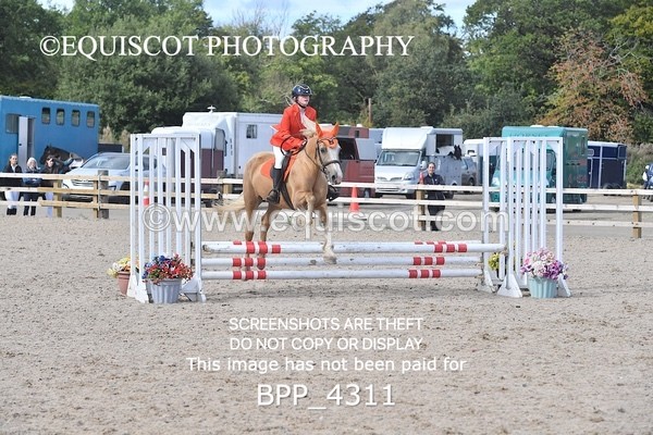 BPP_4311 - CLASS 6 HORSE 60CM FINAL