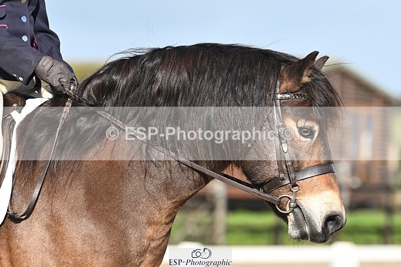 231105-112502-01379 - Cls 2 Prelim 7 11.16 to 12.35 break