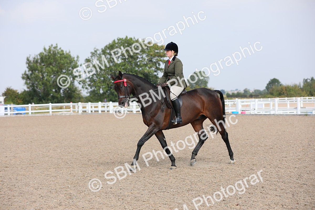 SBM_11385