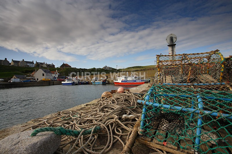 4 - THE SCOTSMAN - READERS GALLERY