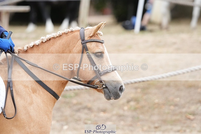 250820A-111525-04210 - Round 2, 10.45 to 11.45 Break