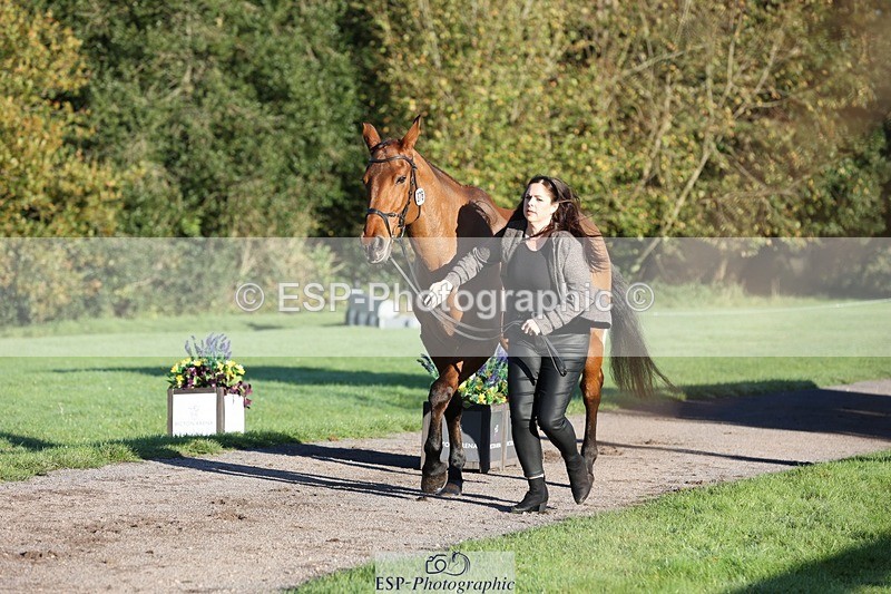 241027-085237-14867 - 376-Rachael.Hardman-WHIPPLETREE.HAILEYS.COMET