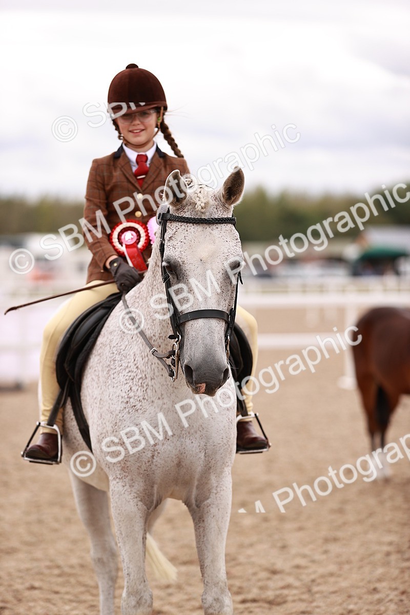 SBM_18598 - Class 421 - Childs Best Friend - Jnr