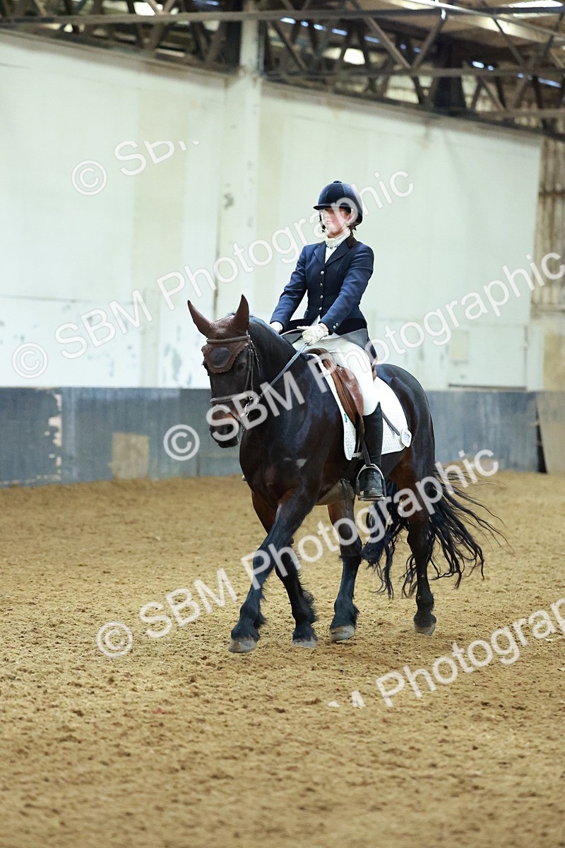 SBM_003776 - Novice 2