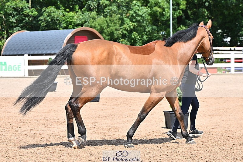 240718A-105317-01803 - Trot Up 1pm to 2pm