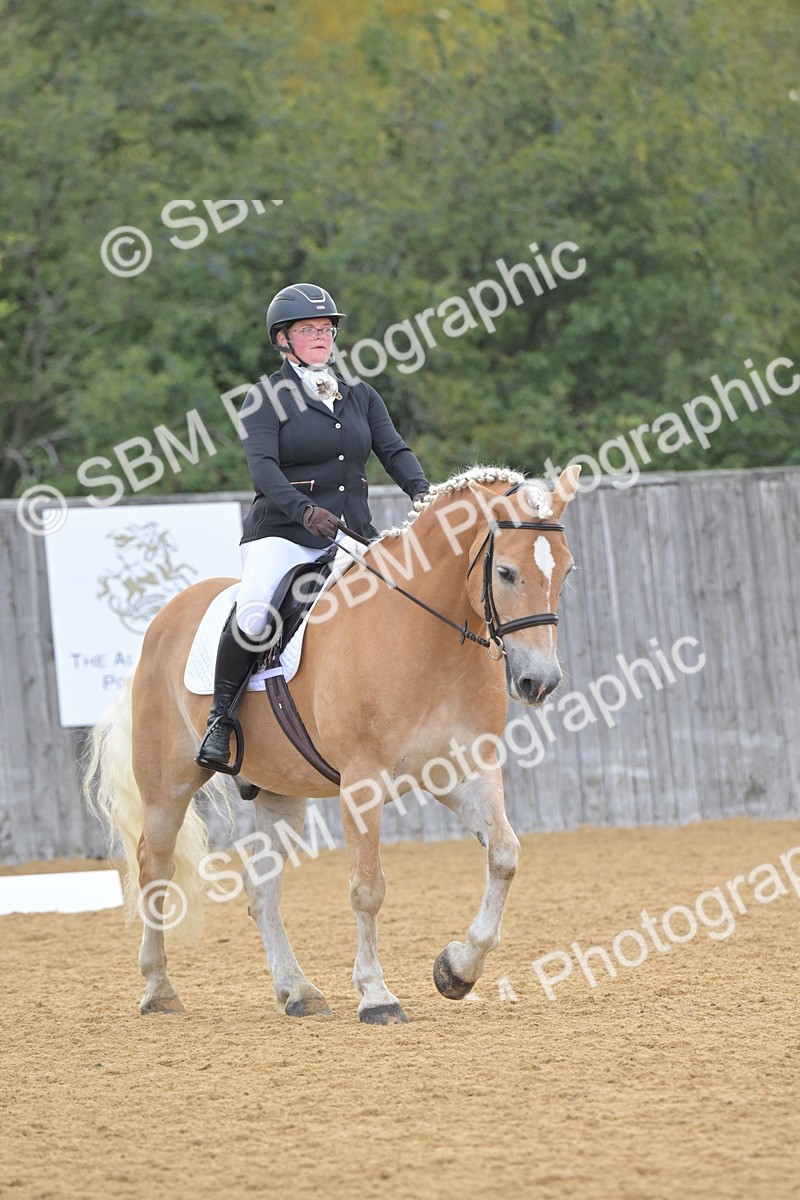 SBM_11160 - D3 - Small Tour Championship Intro 3