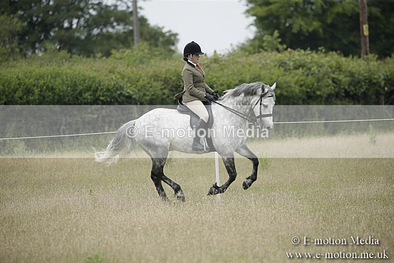 B230619-0520 - Bourne Valley Riding Club Summer Show 23/06/19