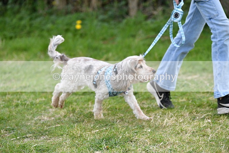 WJ5_0104 - Class 5 Best Veteran / 7 years & over