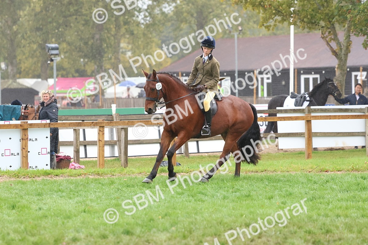 SBM_73015 - S63 Show Pony & Show Hunter Pony Ridden