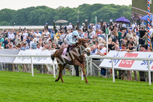 170524-Race 4-Giavellotto-8081 - Race 4 3.45pm Boodles Yorkshire Cup Stakes