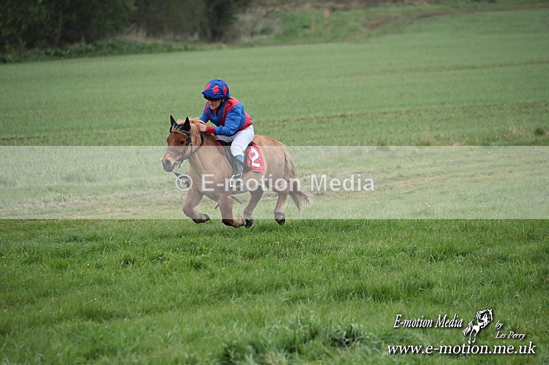 SHETPR 210425 92 - Shetland Ponies Paxford Races 21/04/25