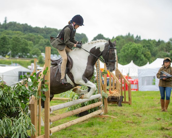 Dunblane show-334 - Dunblane and Doune Show Ring 1
