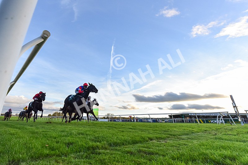 291024-Race 7-Crocodile Power-8840 - Race 7