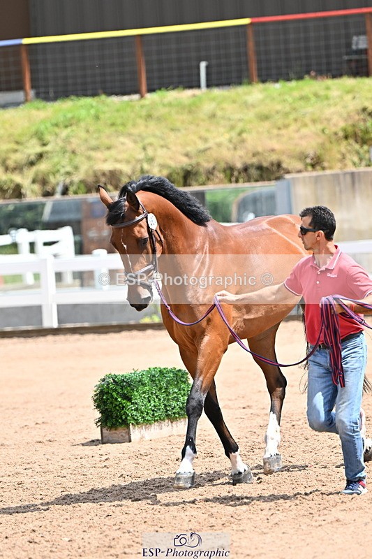 240718A-105307-01592 - Trot Up 1pm to 2pm