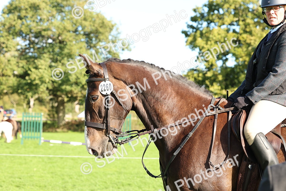 SBM_50145 - S34 - Novice & Newcomers Working Hunter