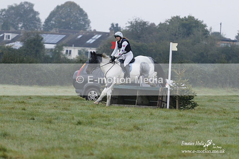 WWHT 171021 0411 - Novice Restricted (0.80m)  17/10/21