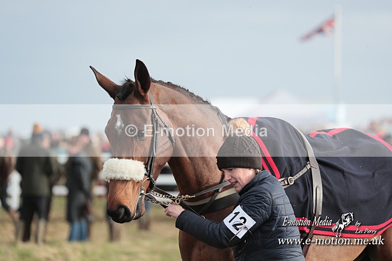 PtP 311223 371 - Larkhill Racing Club Point-to-Point 31/12/23
