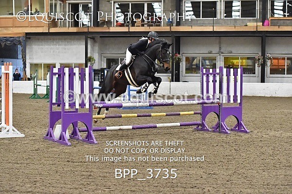 BPP_3735 - FRI CLASS 21 BR NOVICE/90CM