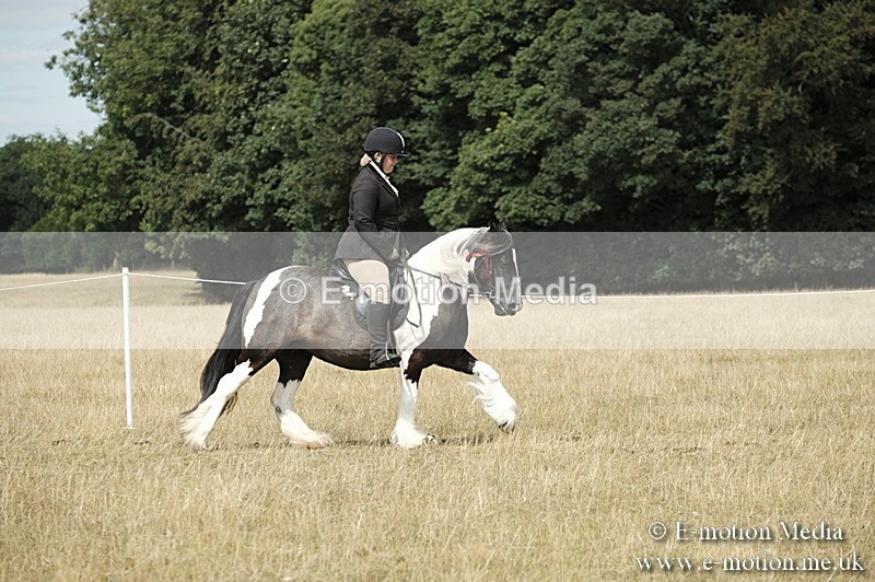 _PJP6112 - Ridden Championship BVRC Show 2018