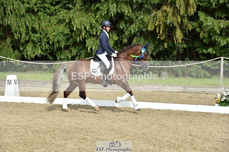 230812-160900-05420 - Novice Bronze Presentations