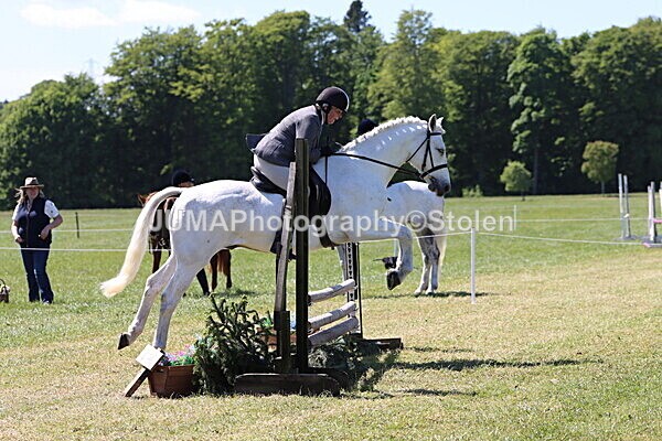 IMG_3980 - Working Hunter
