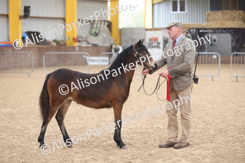 20251109-0697 - Championship