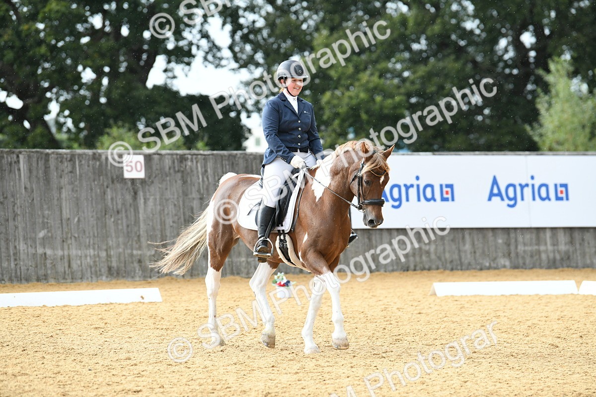 SBM_11092 - D28 Elementary Taster Elementary 42