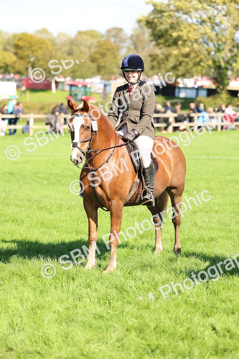SBM_45432 - S33 - Working Hunter Pony