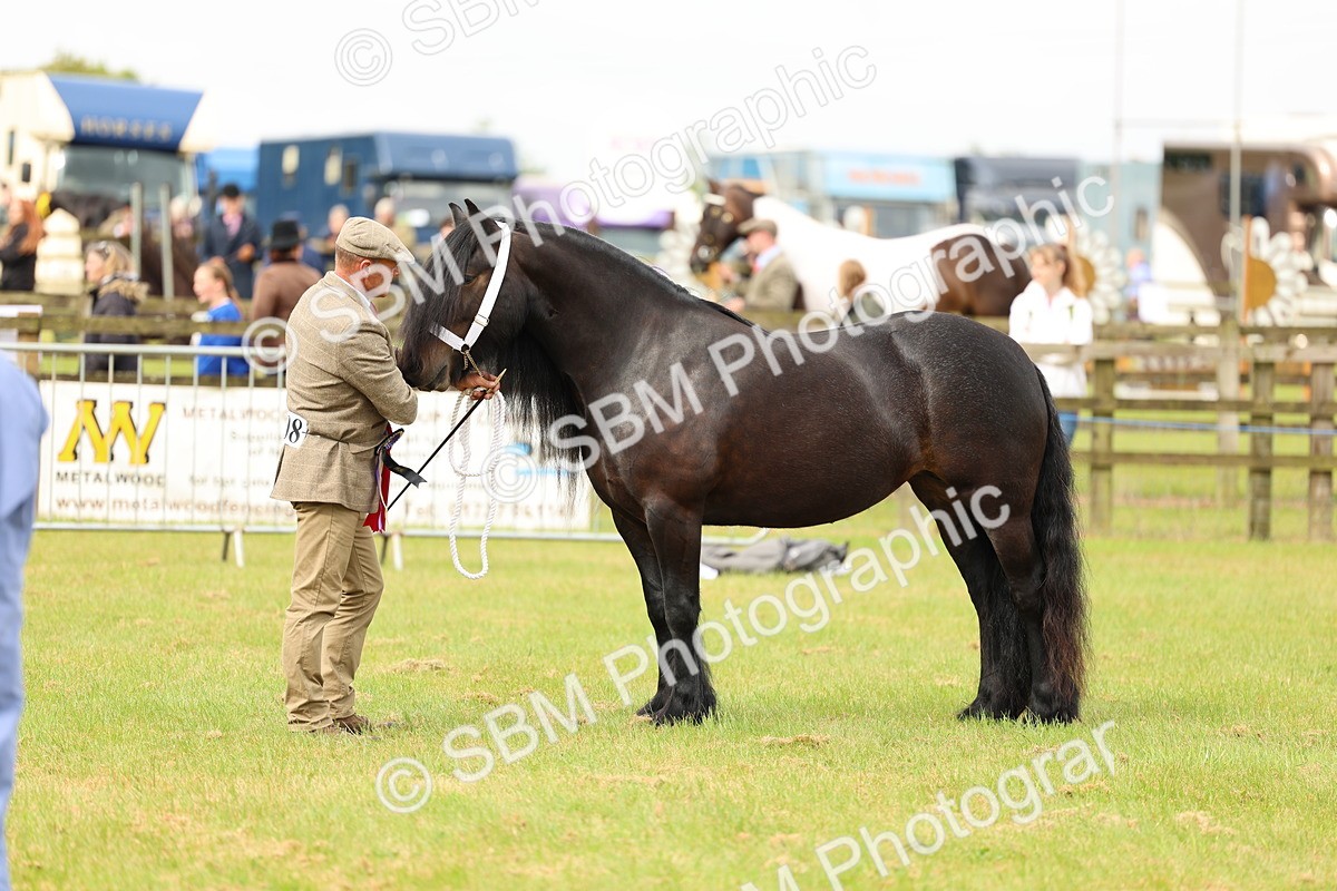 SBM_00608 - Class 58-67 - M&M Non Welsh Pony In hand