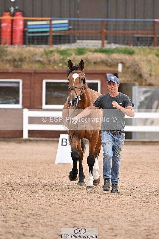 250716-145754-01552 - Trot Up 2.30 to 3.30