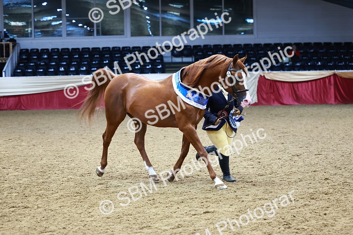 SBM_23934 - Grand Supreme Final - Overall Champ