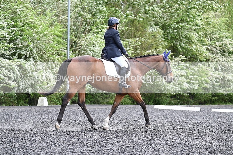 WJ7_0583 - Time 13:29 to 13:59