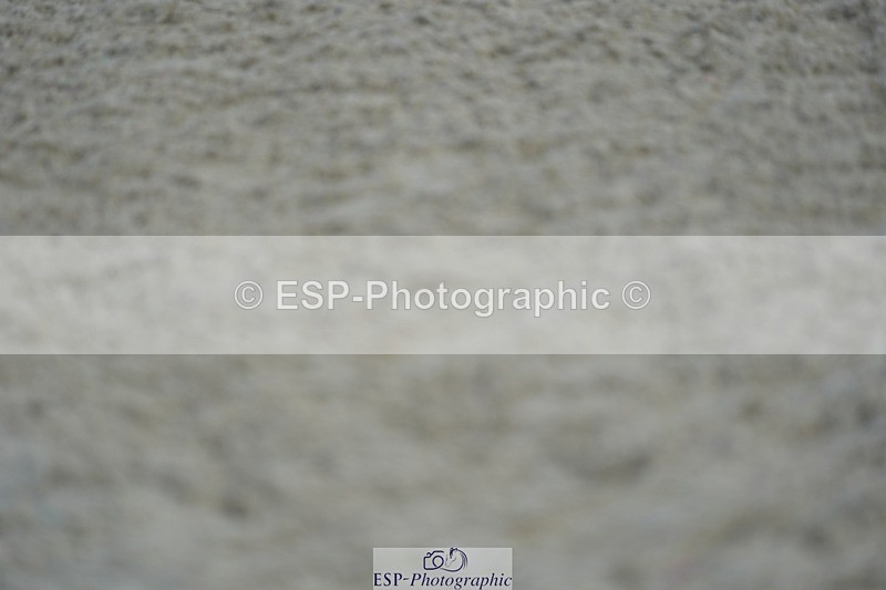 230909-175420-07355 - Cls 20 Club 80cm