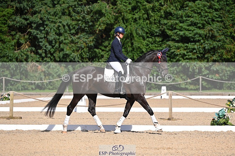 240809-163602-02412 - Novice Gold