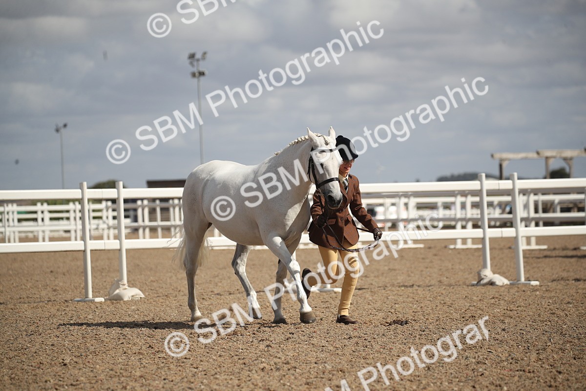 SBM_23556 - Class 605 - 2026 - Area - IH Veteran