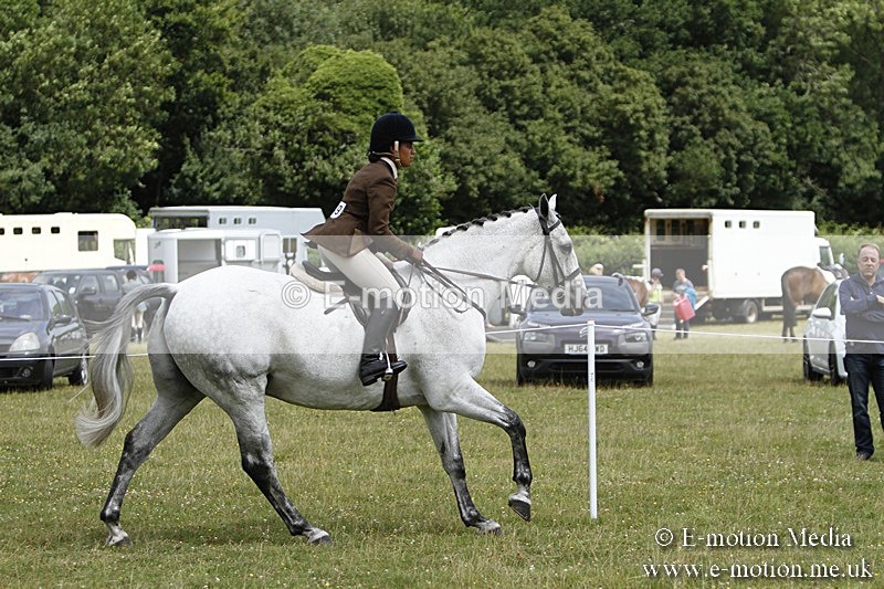 BVR160717-1836 - Ring 3 BVRC Show 16/07/17